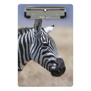 Zebra Mini Klembord