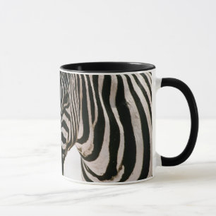 Zebra Mokken