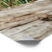 Zebra Mom & Foal 36 x 24 Photo Poster (Coin)