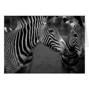 Zebra monochroom afbeelding