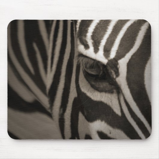 Zebra Muismat (Voorkant)