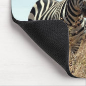 zebra muismat (Hoek)
