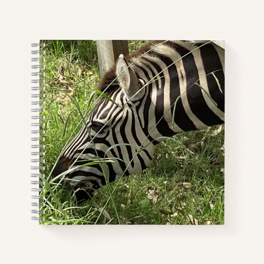 Zebra Notitieboek (Voorkant)