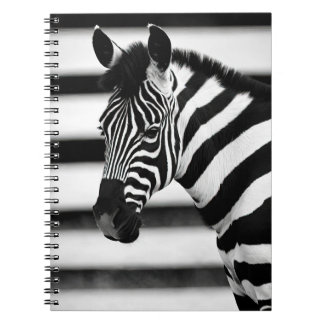 Zebra Notitieboek