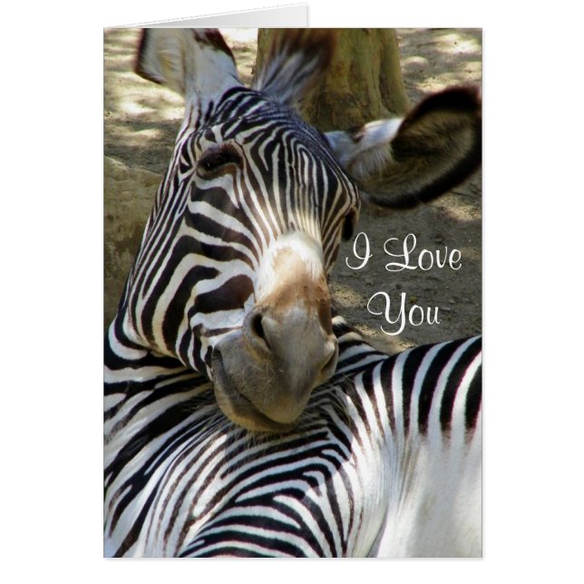 Zebra, om het even welke Occasies_ (Voorkant)