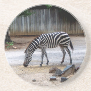 Zebra Onderzetter