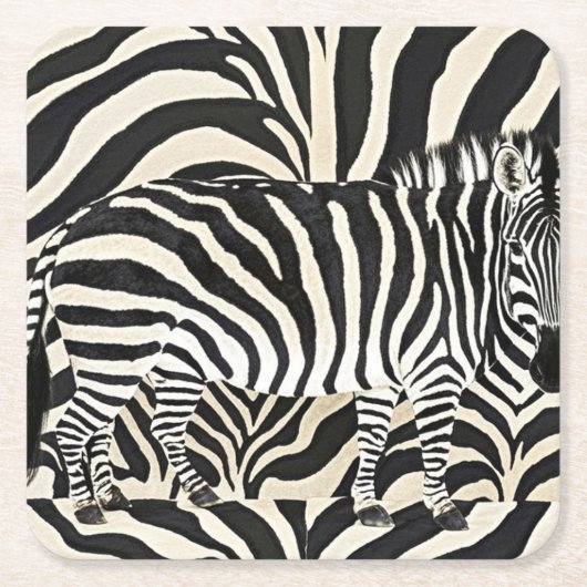 Zebra Onderzetters (Voorkant)