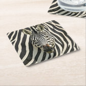 Zebra Onderzetters (Schuin)