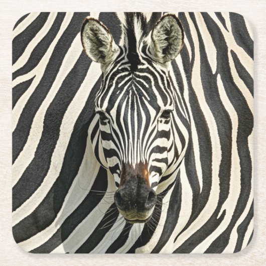 Zebra Onderzetters (Voorkant)