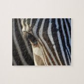 Zebra Oog Puzzel (Horizontaal)