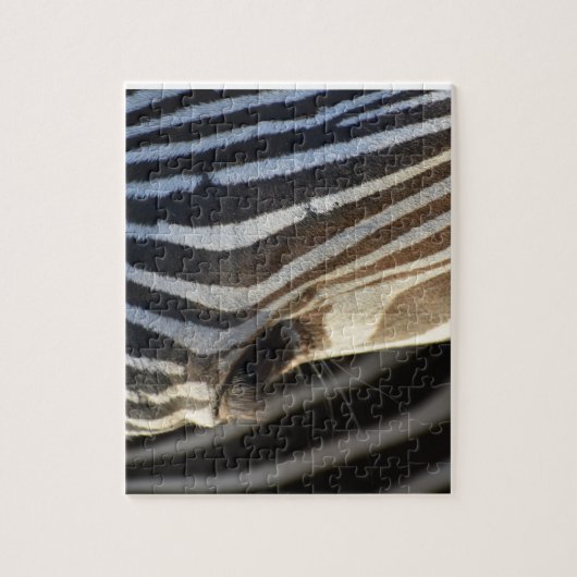 Zebra Oog Puzzel (Verticaal)