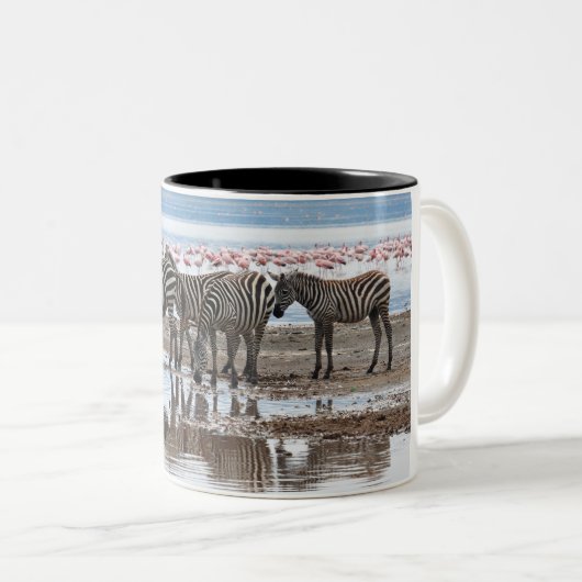 Zebra op de Mok van het meer Nakuru Kenya (Voorkant rechts)