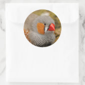 Zebra op de Rocks Ronde Sticker (Tas)