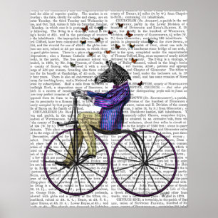 Zebra op fiets poster
