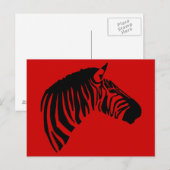 ZEBRA OP RODE BRIEFKAART (Voorkant / Achterkant)