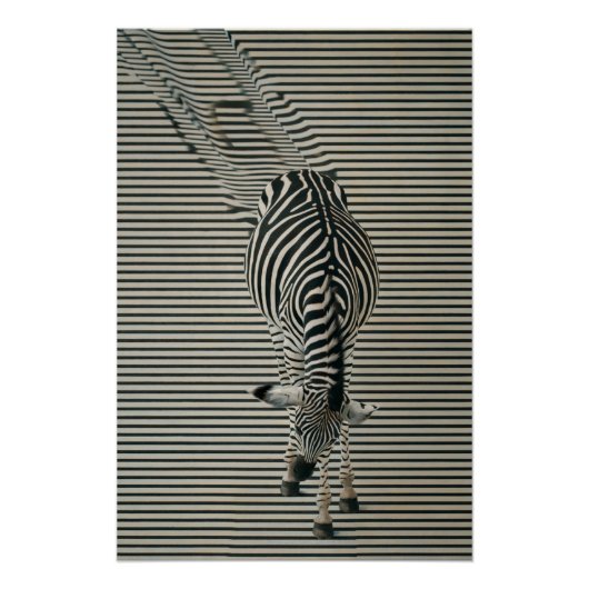 Zebra-Optik Poster | Surrealistische Tierkunst Perfect Poster (Voorkant)