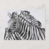 Zebra Original Pencil Drawing Briefkaart (Voorkant)