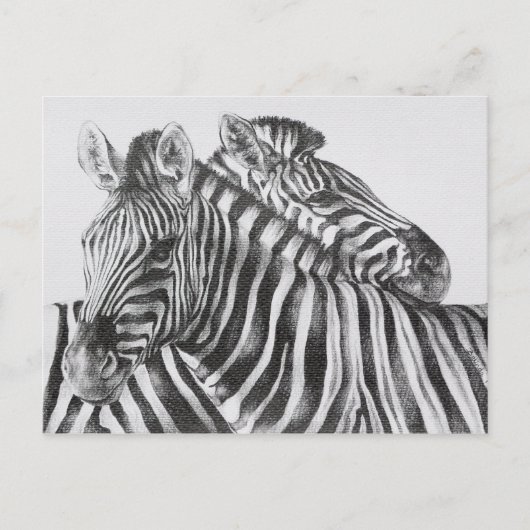 Zebra Original Pencil Drawing Briefkaart (Voorkant)