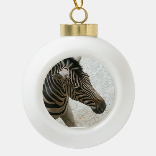 Zebra Ornament (Voorkant)