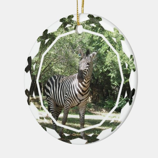 Zebra Ornament (Links)