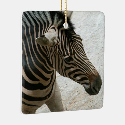 Zebra Ornament (Rechts)