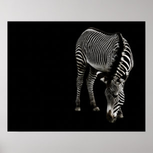 Zebra P4435 Afdrukken Poster