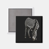 Zebra P4435 Magnet (Recto/Verso)