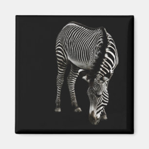 Zebra P4435 Magnet
