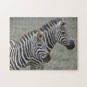 zebra paar legpuzzel