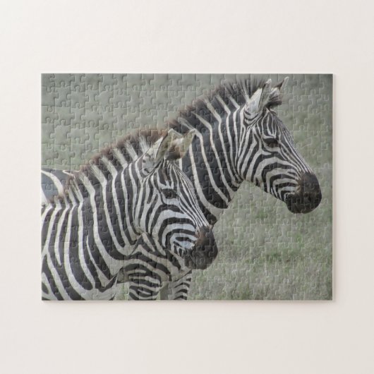 zebra paar legpuzzel (Horizontaal)