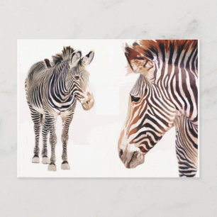 "Zebra Paar" Waterverf Wildlife Art Briefkaart