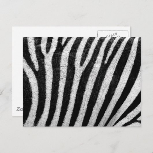 Zebra Pattern Briefkaart (Voorkant / Achterkant)