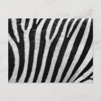 Zebra Pattern Briefkaart