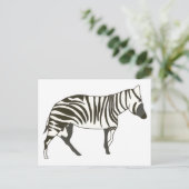 Zebra peinture de la faune carte postale de Cheryl (Debout devant)