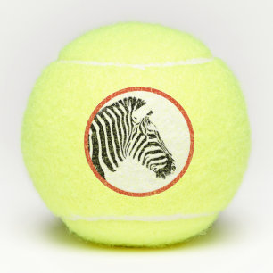 ZEBRA PENN 2 TENNIS BALL TENNISBALLEN