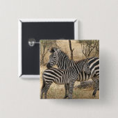 Zebra Pin moeder en Baby Vierkante Button 5,1 Cm (Voorkant /achterkant)
