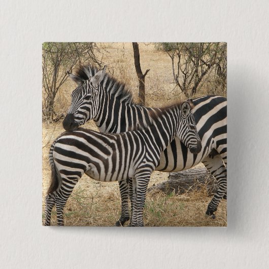 Zebra Pin moeder en Baby Vierkante Button 5,1 Cm (Voorkant)
