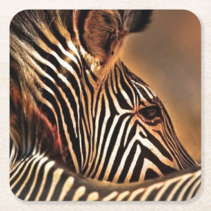 Zebra plastic onderzetter