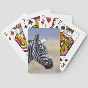 Zebra Pokerkaarten