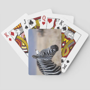 Zebra Pokerkaarten
