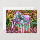 Zebra Pop Briefkaart (Voorkant / Achterkant)