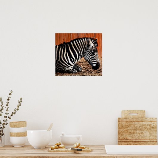 Zebra Poster (Keuken)