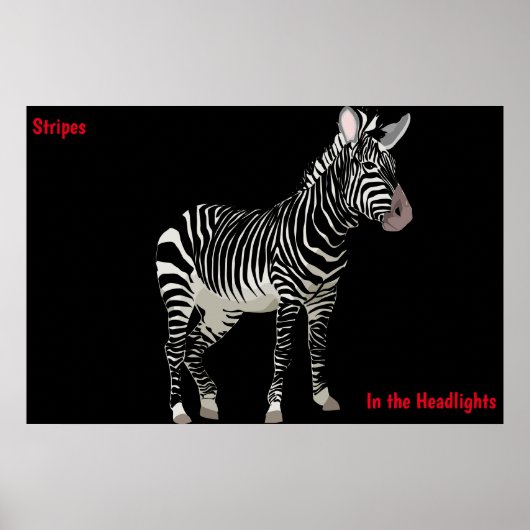 Zebra Poster (Voorkant)