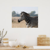 Zebra Poster (Keuken)