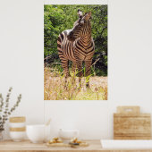 Zebra Poster (Keuken)