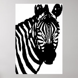 zebra. poster
