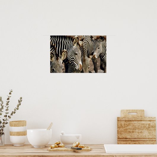 Zebra Poster (Keuken)