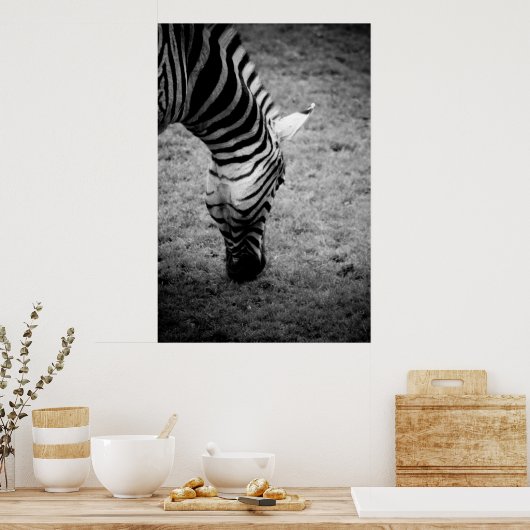zebra poster (Keuken)