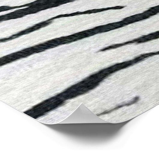 Zebra Poster Artwork Mural murale (Coin)