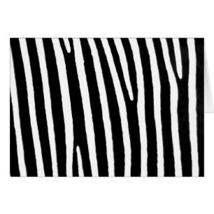 Zebra poster de animal